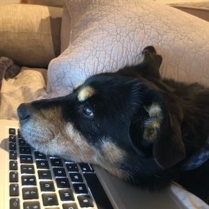 Meet your Posher, Emma rose